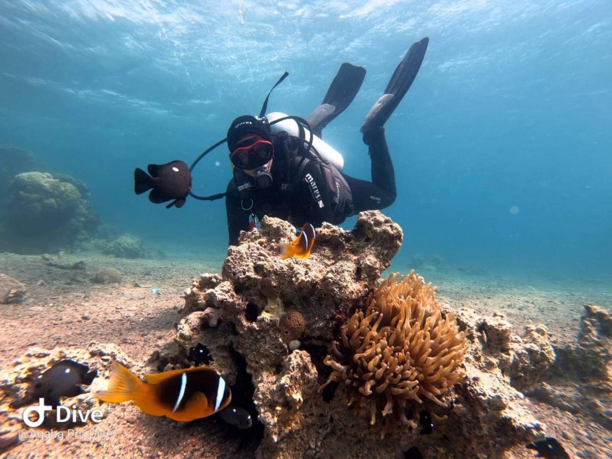 Aqaba Pro Divers Экстерьер фото