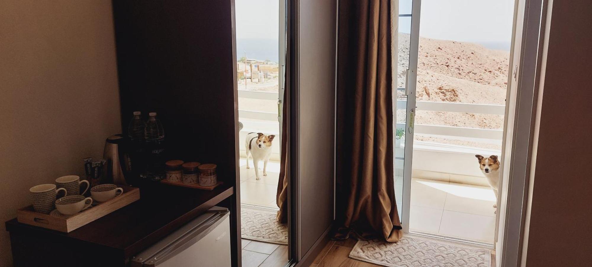 Aqaba Pro Divers Экстерьер фото